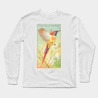 Fiery-Tailed Sun Bird Long Sleeve T-Shirt